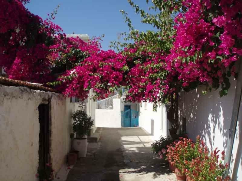 Tourloti Village House エクステリア 写真